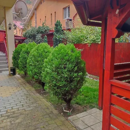 @greengarden * Floresti (Cluj)