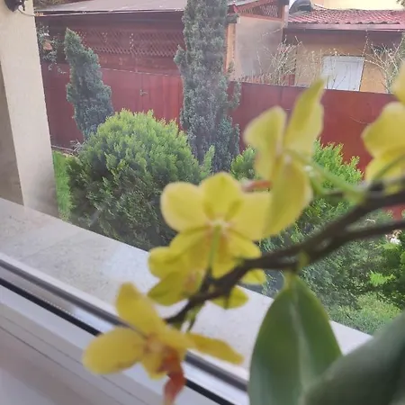 @greengarden Floresti (Cluj)